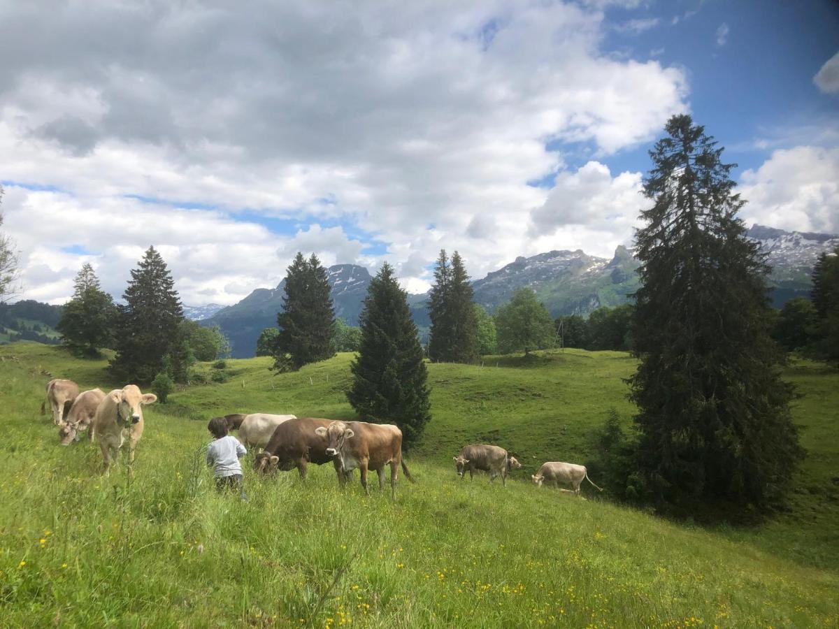 Ferienwohnungen Mit 4 Betten In Gersau Direkt Am Vierwaldstaettersee Eksteriør bilde